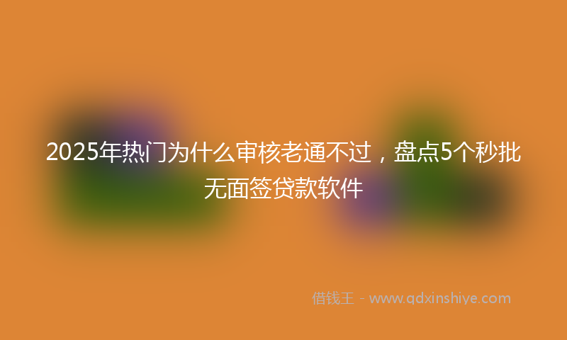 2025年热门为什么审核老通不过，盘点5个秒批无面签贷款软件
