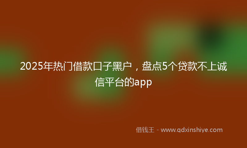 2025年热门借款口子黑户，盘点5个贷款不上诚信平台的app