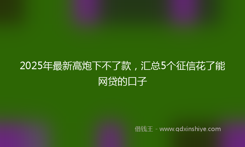 2025年最新高炮下不了款，汇总5个征信花了能网贷的口子