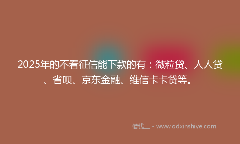 2025年的不看征信能下款的有：微粒贷、人人贷、省呗、京东金融、维信卡卡贷等。