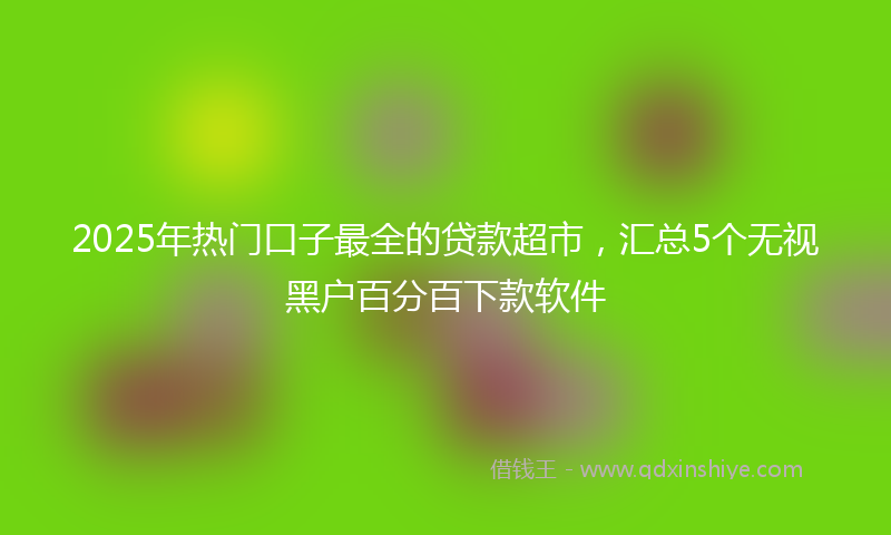 2025年热门口子最全的贷款超市，汇总5个无视黑户百分百下款软件