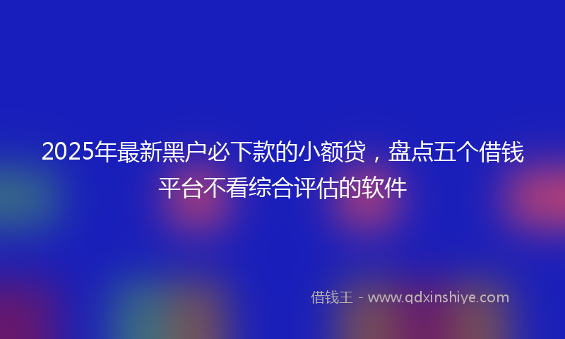 2025年最新黑户必下款的小额贷，盘点五个借钱平台不看综合评估的软件