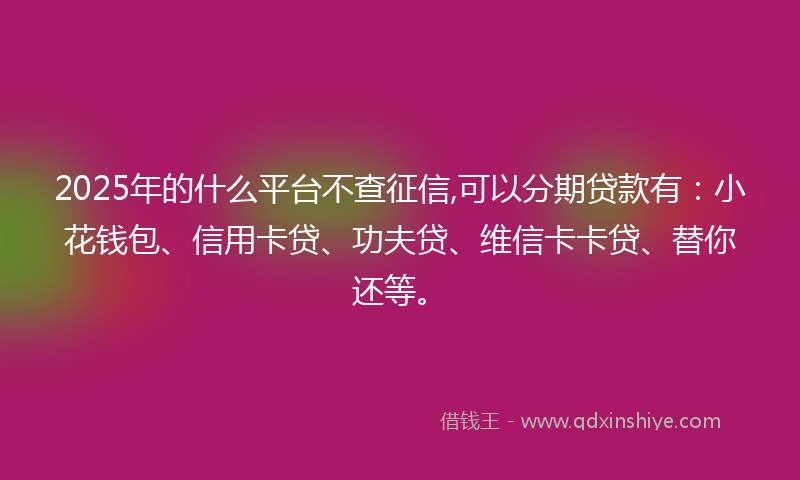 2025年的什么平台不查征信,可以分期贷款有：小花钱包、信用卡贷、功夫贷、维信卡卡贷、替你还等。