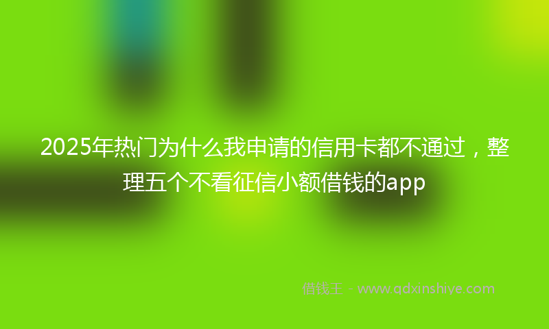 2025年热门为什么我申请的信用卡都不通过，整理五个不看征信小额借钱的app