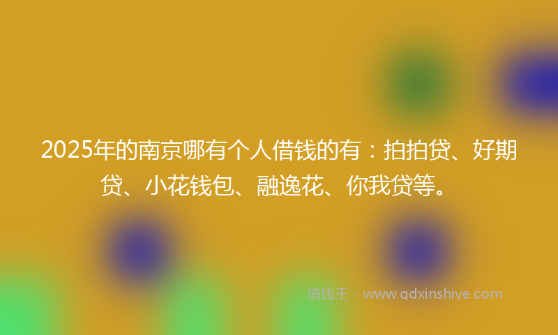 2025年的南京哪有个人借钱的有：拍拍贷、好期贷、小花钱包、融逸花、你我贷等。