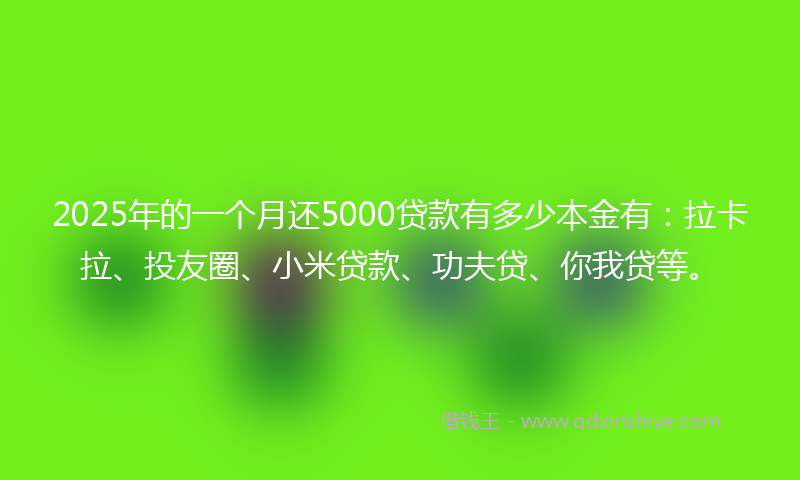 2025年的一个月还5000贷款有多少本金有：拉卡拉、投友圈、小米贷款、功夫贷、你我贷等。
