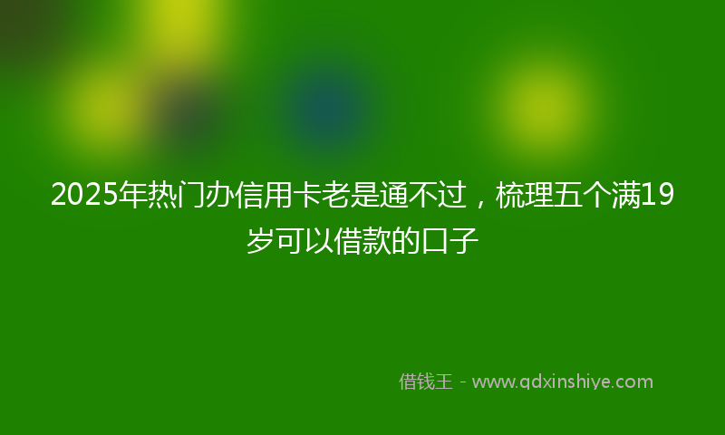 2025年热门办信用卡老是通不过，梳理五个满19岁可以借款的口子