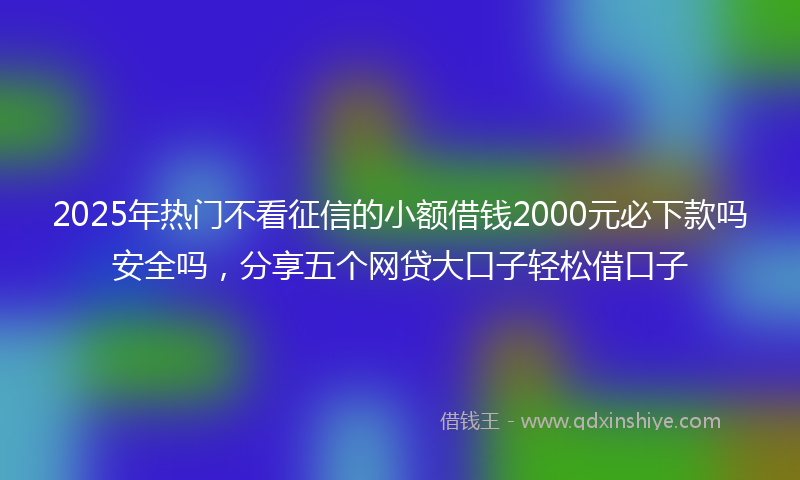 2025年热门不看征信的小额借钱2000元必下款吗安全吗，分享五个网贷大口子轻松借口子