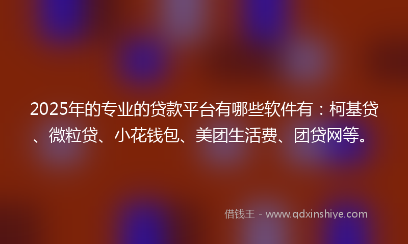 2025年的专业的贷款平台有哪些软件有：柯基贷、微粒贷、小花钱包、美团生活费、团贷网等。