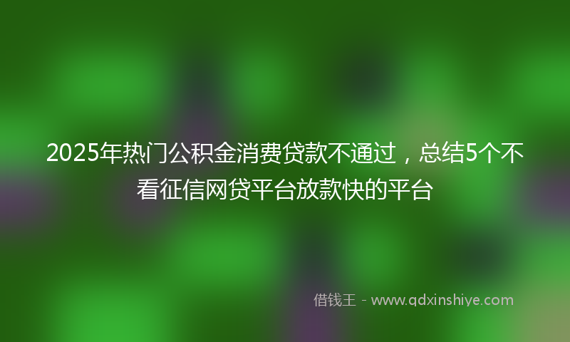 2025年热门公积金消费贷款不通过，总结5个不看征信网贷平台放款快的平台
