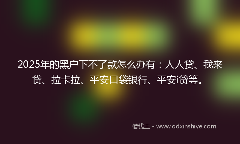 2025年的黑户下不了款怎么办有：人人贷、我来贷、拉卡拉、平安口袋银行、平安i贷等。