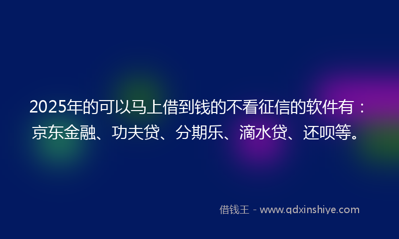 2025年的可以马上借到钱的不看征信的软件有：京东金融、功夫贷、分期乐、滴水贷、还呗等。