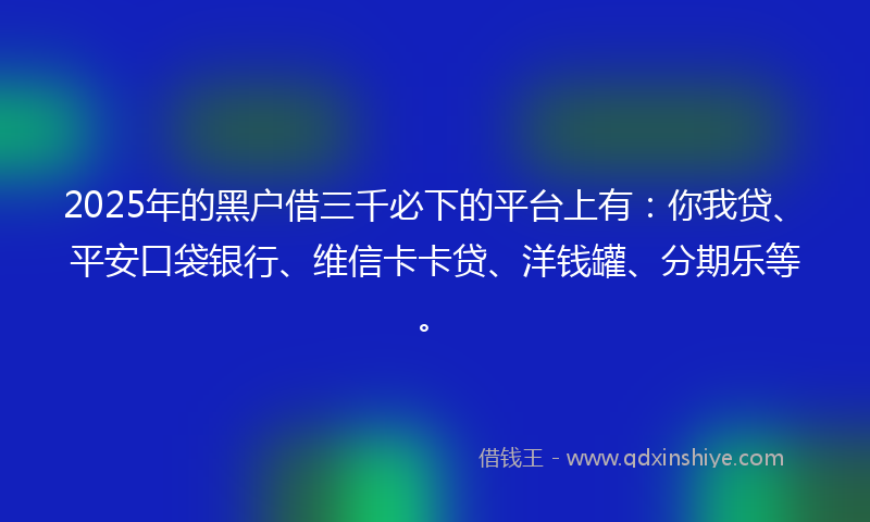 2025年的黑户借三千必下的平台上有：你我贷、平安口袋银行、维信卡卡贷、洋钱罐、分期乐等。
