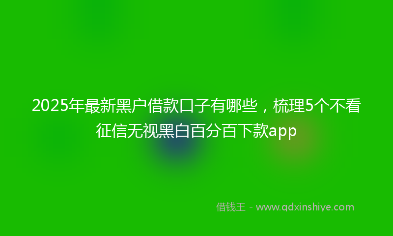 2025年最新黑户借款口子有哪些，梳理5个不看征信无视黑白百分百下款app