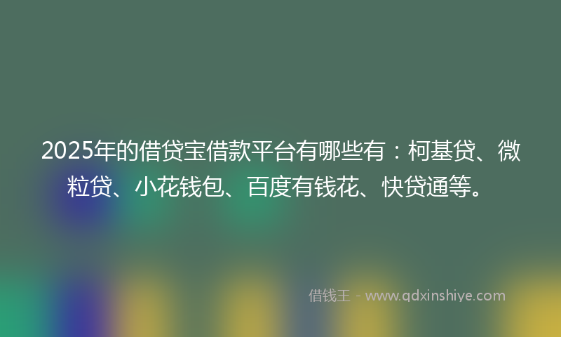 2025年的借贷宝借款平台有哪些有：柯基贷、微粒贷、小花钱包、百度有钱花、快贷通等。