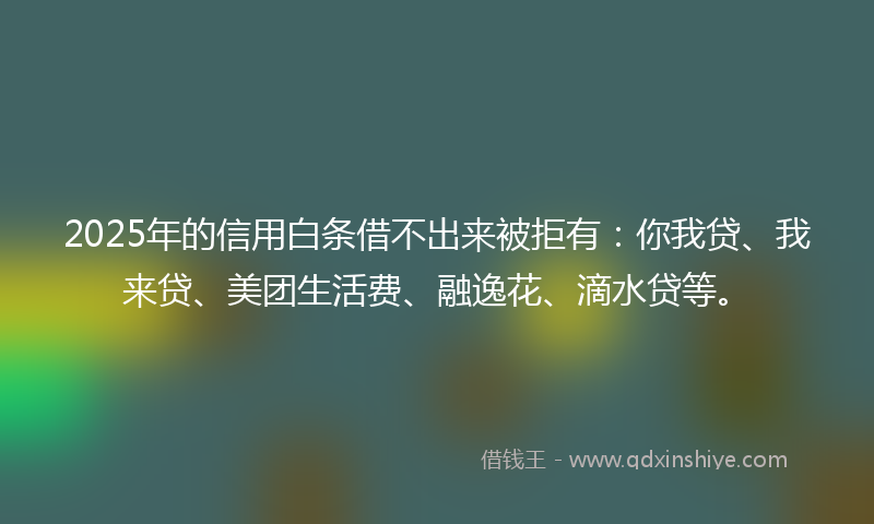 2025年的信用白条借不出来被拒有：你我贷、我来贷、美团生活费、融逸花、滴水贷等。