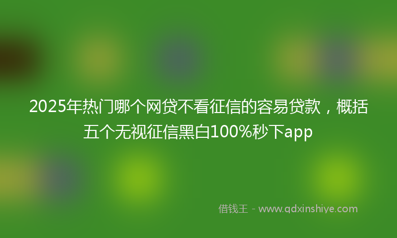 2025年热门哪个网贷不看征信的容易贷款，概括五个无视征信黑白100%秒下app