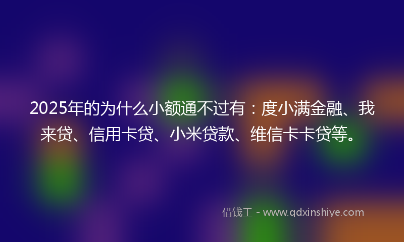 2025年的为什么小额通不过有：度小满金融、我来贷、信用卡贷、小米贷款、维信卡卡贷等。