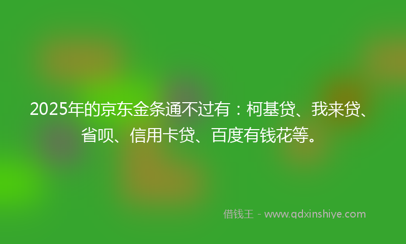 2025年的京东金条通不过有：柯基贷、我来贷、省呗、信用卡贷、百度有钱花等。