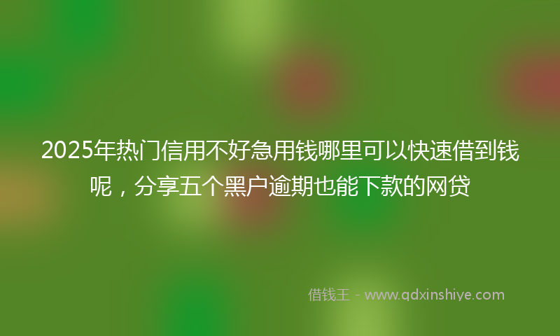 2025年热门信用不好急用钱哪里可以快速借到钱呢，分享五个黑户逾期也能下款的网贷