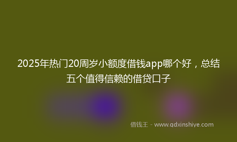 2025年热门20周岁小额度借钱app哪个好，总结五个值得信赖的借贷口子
