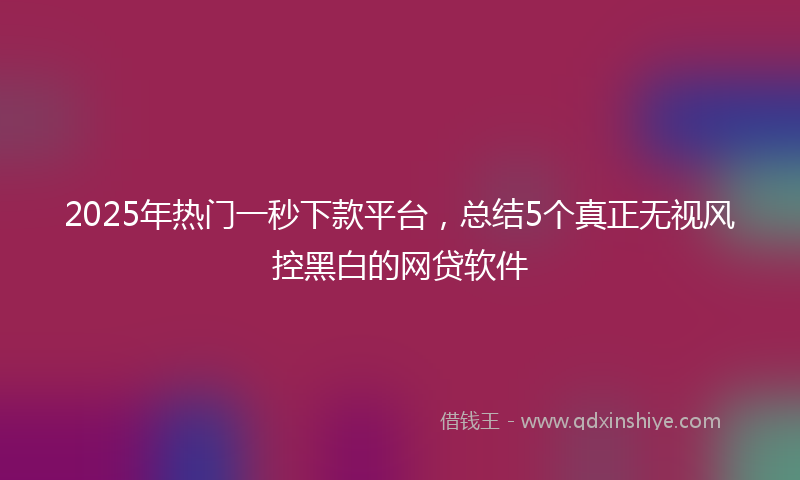 2025年热门一秒下款平台，总结5个真正无视风控黑白的网贷软件