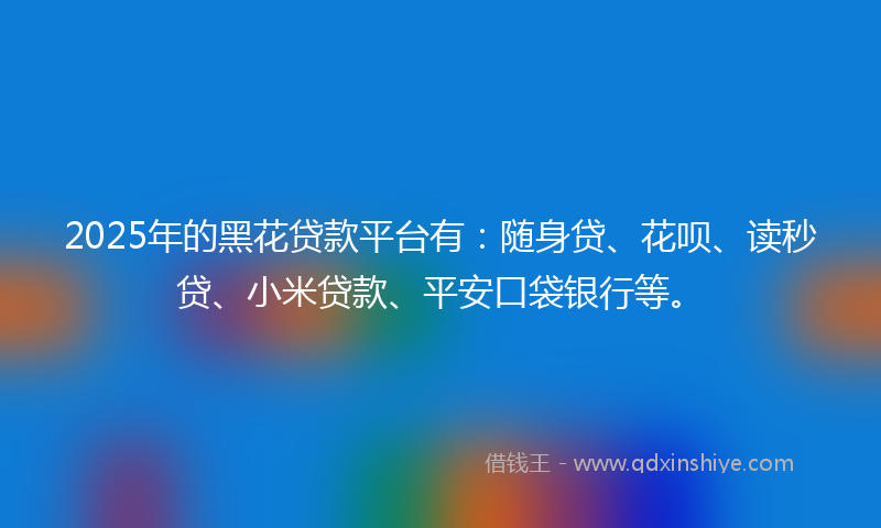 2025年的黑花贷款平台有：随身贷、花呗、读秒贷、小米贷款、平安口袋银行等。