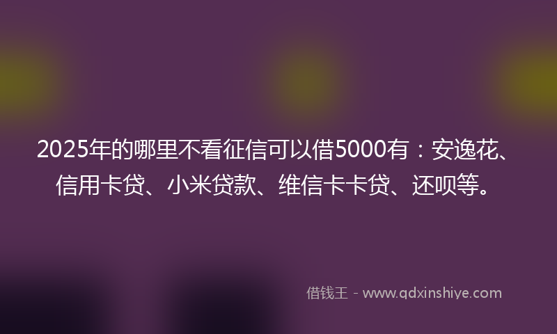 2025年的哪里不看征信可以借5000有：安逸花、信用卡贷、小米贷款、维信卡卡贷、还呗等。