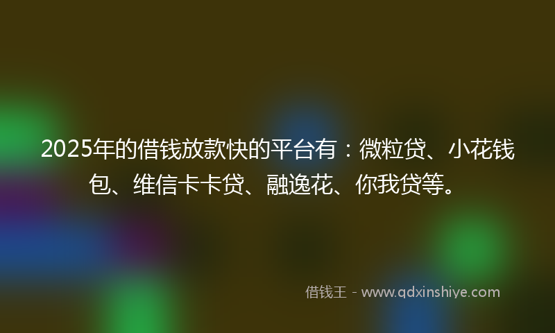 2025年的借钱放款快的平台有：微粒贷、小花钱包、维信卡卡贷、融逸花、你我贷等。