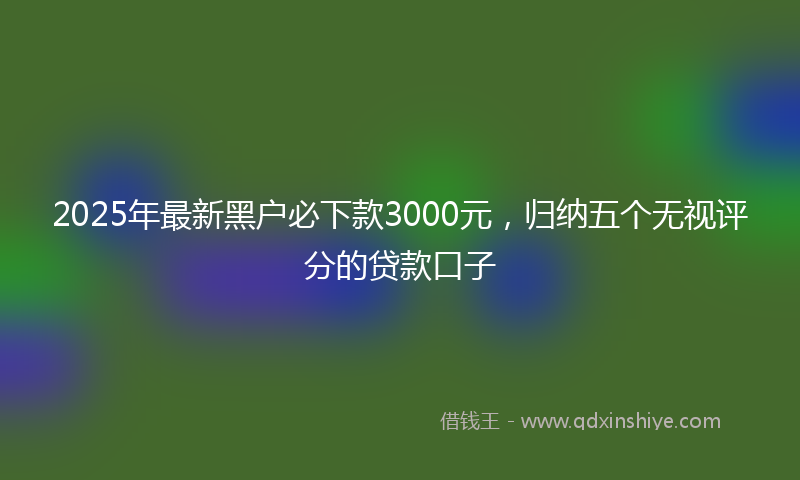 2025年最新黑户必下款3000元，归纳五个无视评分的贷款口子