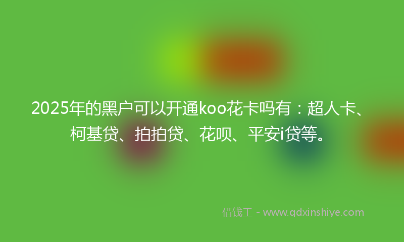 2025年的黑户可以开通koo花卡吗有：超人卡、柯基贷、拍拍贷、花呗、平安i贷等。