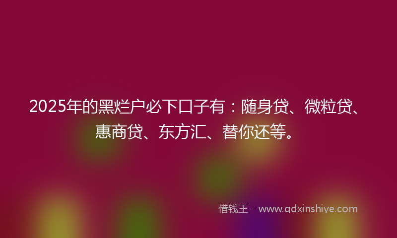 2025年的黑烂户必下口子有：随身贷、微粒贷、惠商贷、东方汇、替你还等。