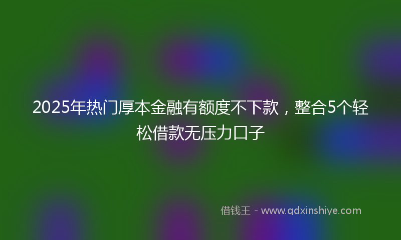 2025年热门厚本金融有额度不下款，整合5个轻松借款无压力口子