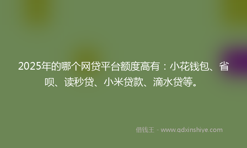 2025年的哪个网贷平台额度高有：小花钱包、省呗、读秒贷、小米贷款、滴水贷等。