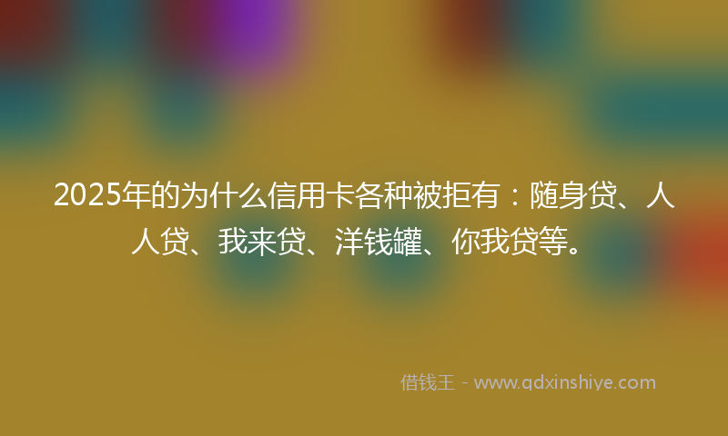 2025年的为什么信用卡各种被拒有：随身贷、人人贷、我来贷、洋钱罐、你我贷等。
