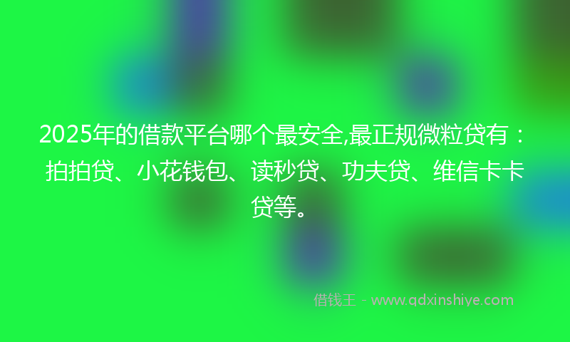 2025年的借款平台哪个最安全,最正规微粒贷有：拍拍贷、小花钱包、读秒贷、功夫贷、维信卡卡贷等。
