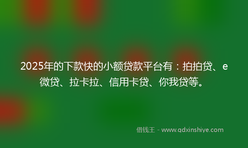 2025年的下款快的小额贷款平台有：拍拍贷、e微贷、拉卡拉、信用卡贷、你我贷等。