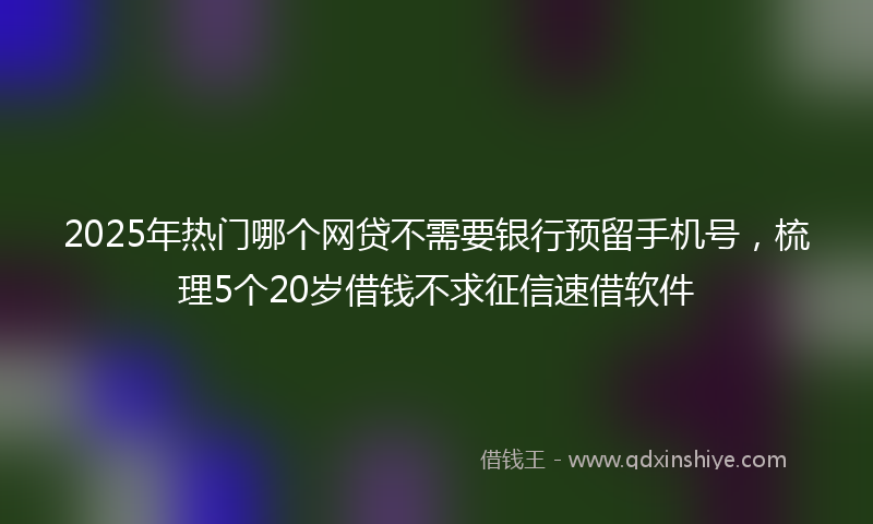 2025年热门哪个网贷不需要银行预留手机号，梳理5个20岁借钱不求征信速借软件
