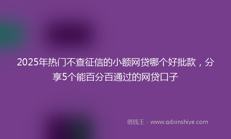 2025年热门不查征信的小额网贷哪个好批款，分享5个能百分百通过的网贷口子