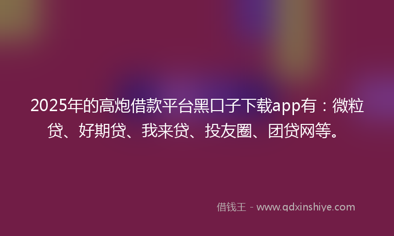 2025年的高炮借款平台黑口子下载app有：微粒贷、好期贷、我来贷、投友圈、团贷网等。