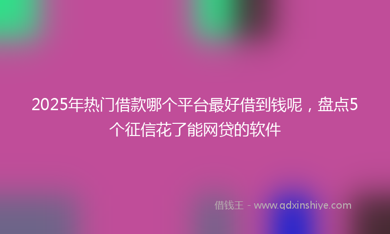 2025年热门借款哪个平台最好借到钱呢，盘点5个征信花了能网贷的软件