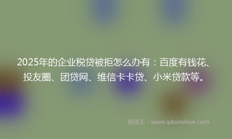 2025年的企业税贷被拒怎么办有：百度有钱花、投友圈、团贷网、维信卡卡贷、小米贷款等。