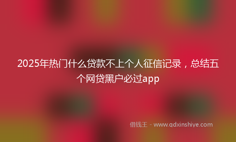 2025年热门什么贷款不上个人征信记录，总结五个网贷黑户必过app