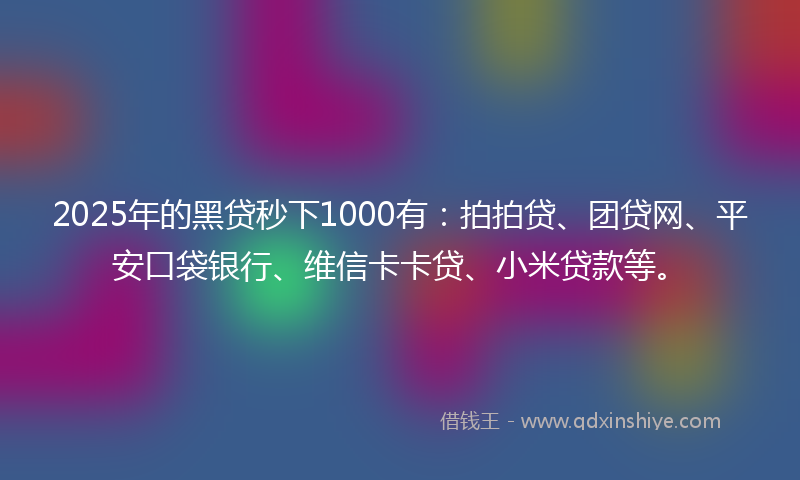 2025年的黑贷秒下1000有：拍拍贷、团贷网、平安口袋银行、维信卡卡贷、小米贷款等。