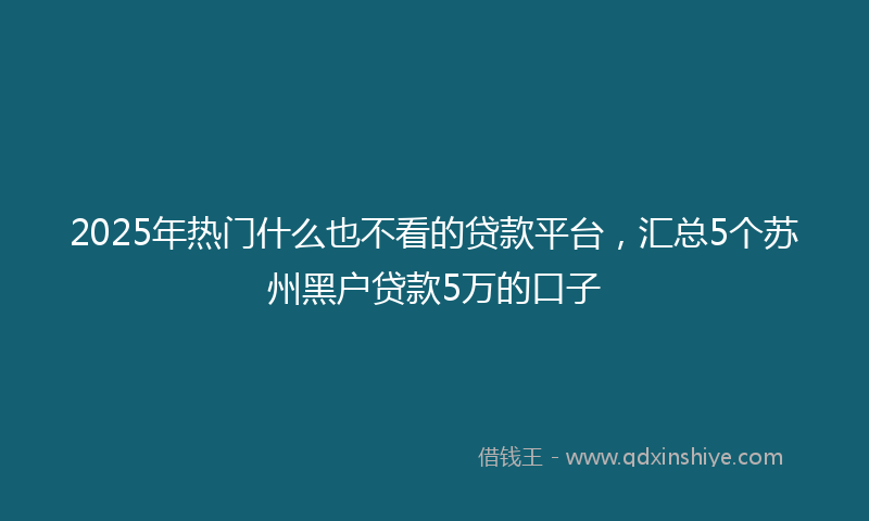 2025年热门什么也不看的贷款平台，汇总5个苏州黑户贷款5万的口子