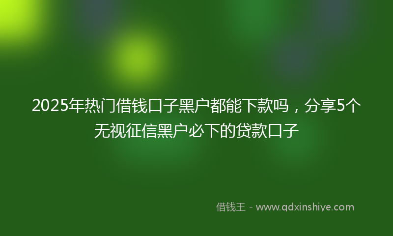 2025年热门借钱口子黑户都能下款吗，分享5个无视征信黑户必下的贷款口子