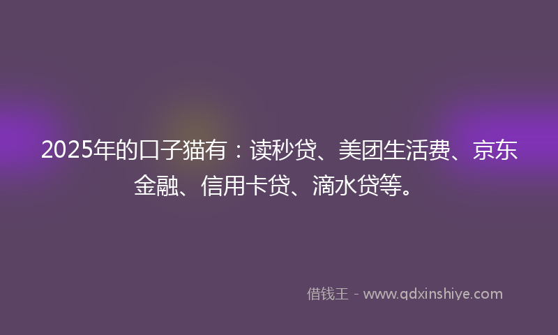 2025年的口子猫有：读秒贷、美团生活费、京东金融、信用卡贷、滴水贷等。