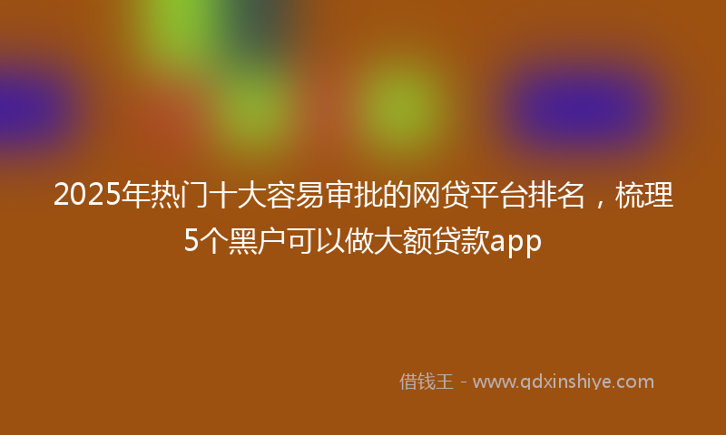 2025年热门十大容易审批的网贷平台排名，梳理5个黑户可以做大额贷款app
