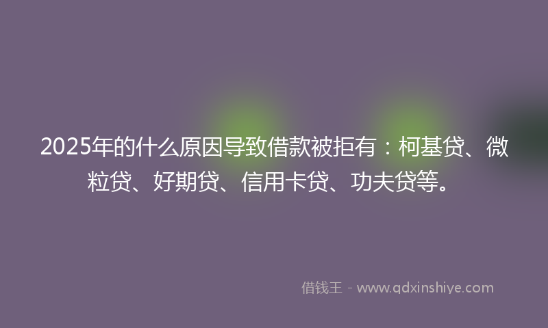 2025年的什么原因导致借款被拒有：柯基贷、微粒贷、好期贷、信用卡贷、功夫贷等。