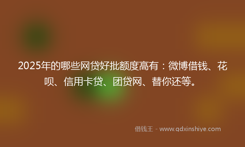 2025年的哪些网贷好批额度高有：微博借钱、花呗、信用卡贷、团贷网、替你还等。